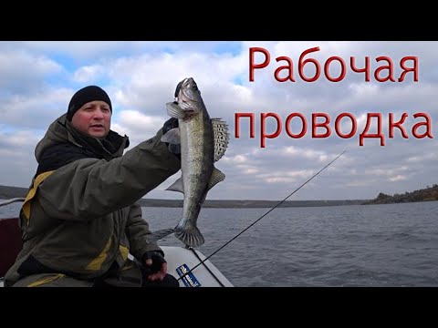 Видео: СУПЕР ЛЁГКАЯ ПРОВОДКА ДЛЯ СУДАКА...рыбалка на спиннинг осень 2020
