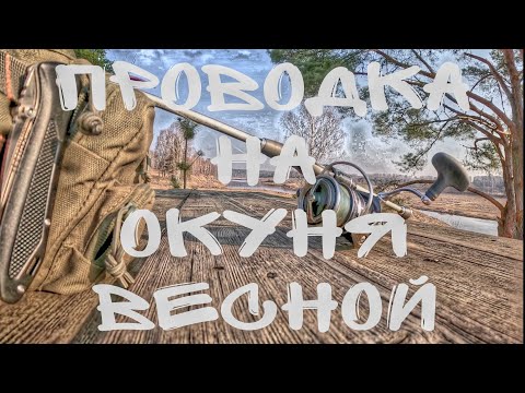 Видео: Лучшая проводка на окуня весной. Как поймать окуня весной. Ловля окуня на джиг. Рыбалка на спиннинг