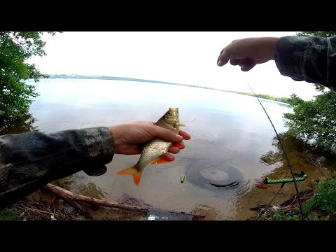 Видео: ОТОРВАЛСЯ ПО КРАСНОПЕРКЕ! РЫБАЛКА НА ВОРОНЕЖСКОМ ВОДОХРАНИЛИЩЕ!