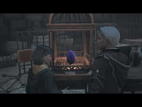Видео: Hogwarts Legacy Битва за дракона