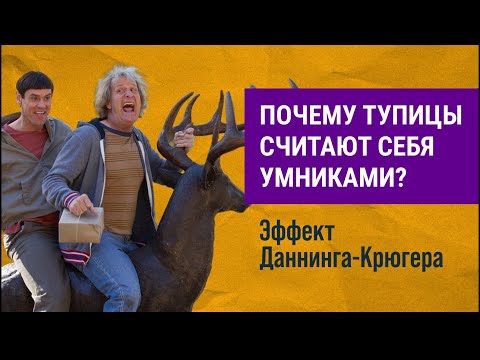 Видео: Почему тупицы считают себя умниками? Эффект Даннинга-Крюгера