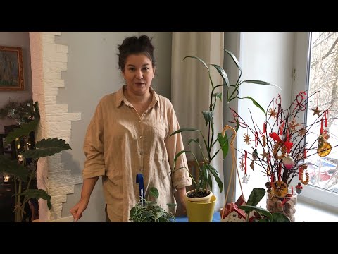 Видео: КАК ПОЛИТЬ И НЕ ЗАЛИТЬ?