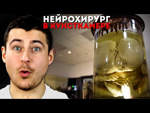 Видео: Нейрохирург в Кунсткамере | Экскурсия в Санкт-Петербурге от Мамедыча