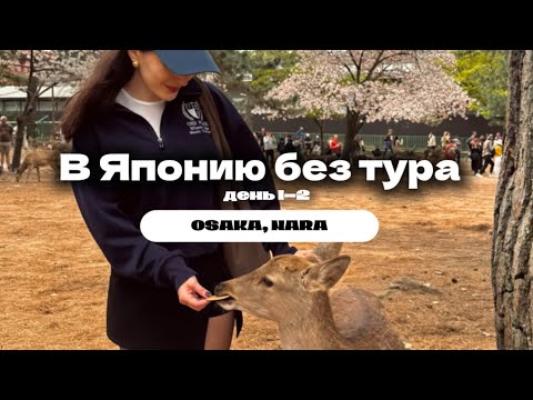 Видео: Япония глазами туриста, день 1-2 Осака и Нара, Нара парк и олени