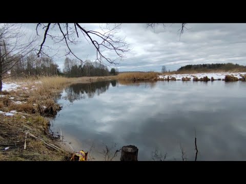Видео: Весенний релакс на хуторе/в лесу/на берегу реки