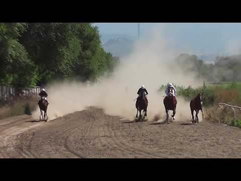 Видео: 6.08.2017 г. КАЗАХСТАНСКОЕ ДЕРБИ (2400 м)