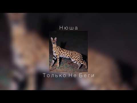 Видео: Нюша - Только Не Беги |slowed down|