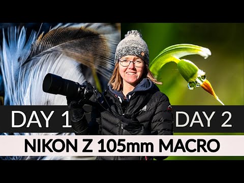 Видео: 2 дня макросъемки с объективом Nikon Z 105 мм