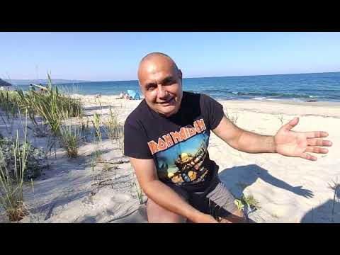 Видео: Плажна изневяра на Джулай морнинг! Мимито се напи с бира и спа със красив студент в палатката!