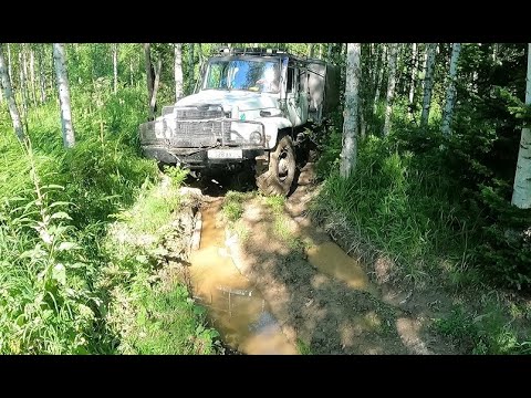 Видео: Газ 3308 #218 дорога Крестовка   Майзас