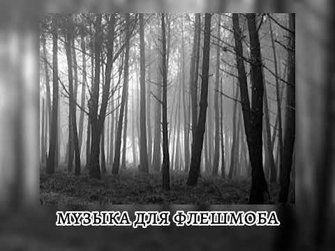 Видео: Музыка для флешмоба//Muzika flashmob 🛕#rge #rge #elbruso #music #дуэт