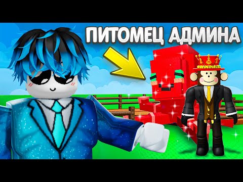 Видео: Я Заработал Триллион Только С *АДМИН ПИТОМЦАМИ* в Grow a Garden!