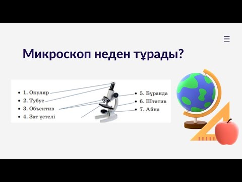 Видео: Микроскоп тақырыбына сабақ идеясы