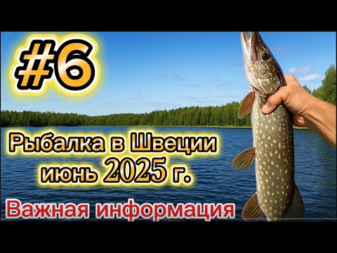 Видео: #6 рыбалка в Швеции, июнь 2025 г. важная информация ￼