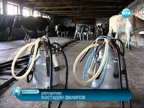 Видео: Ракия от мляко