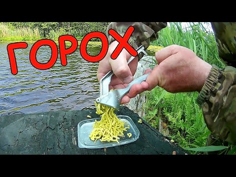 Видео: Зелёный ГОРОШЕК или сладкая КУКУРУЗА. Что выберет рыба? Подводная съёмка.