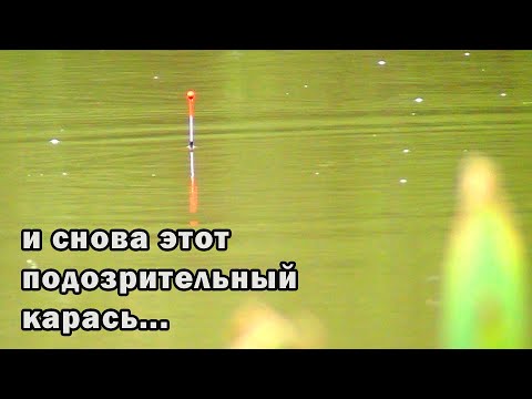 Видео: Рыбак ушёл и зря, а я наловил отличных карасей! Прикорм работает, но надо что то менять