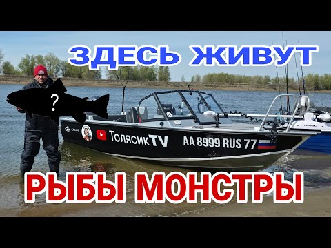 Видео: Рыбалка на Ахтубе на лодке Салют 480 нео про .