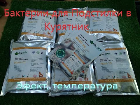 Видео: Бактерии Биолатик запускаем в подстилку из опилок