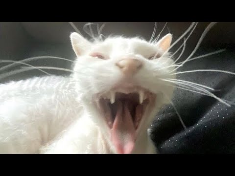 Видео: POV «Лагерь» про Т/и и Пэйтона💖