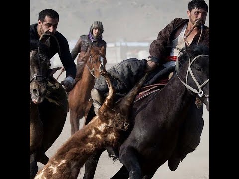 Видео: Сух купкари улок "Барот"  13:01:2022