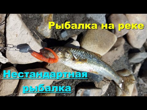 Видео: Рыбалка на реке. Рыбалка в Иркутской области