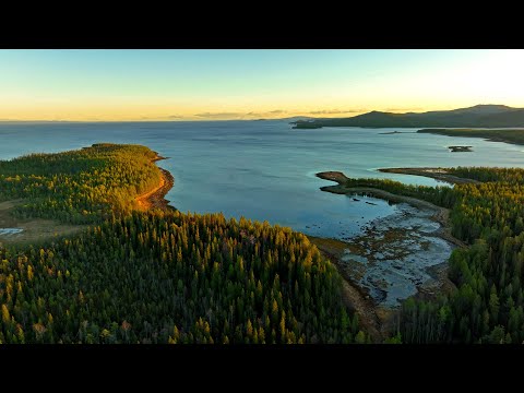 Видео: Прощание с осенью / Farewell to autumn