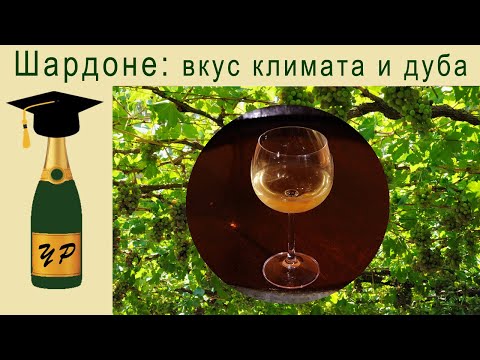 Видео: Шардоне: вкус климата и дуба