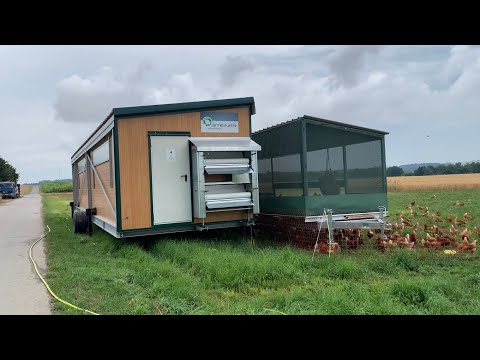 Видео: Ферма в Германии.Мобильный курятник „ЛЮКС КЛАССА“automatic chicken coop.Hühnermobil.