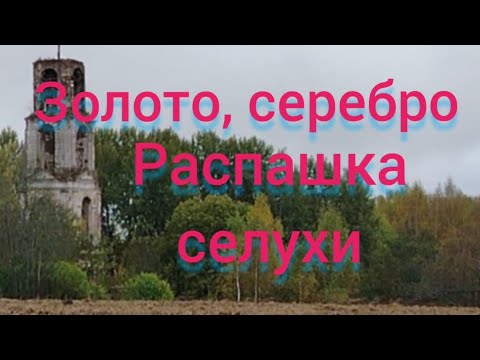 Видео: Золото распаханной селухи👍👍👍