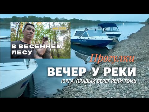 Видео: В весеннем лесу.  Вечер у реки Томь