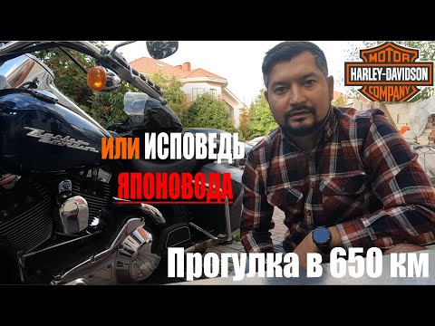 Видео: Прогулка в 650 км до озера Зеренда, или отзыв японовода о Harley Davidson Road King
