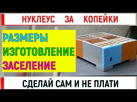 Видео: Нуклеус за копейки, размеры, материалы. Сделай сам!