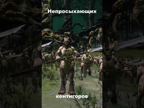 Видео: Коротко про зверолюдей из TTWH3