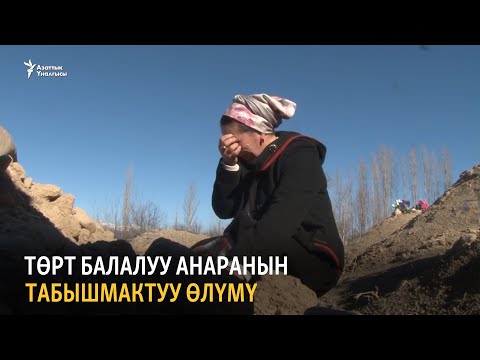 Видео: Төрт балалуу Анаранын табышмактуу өлүмү