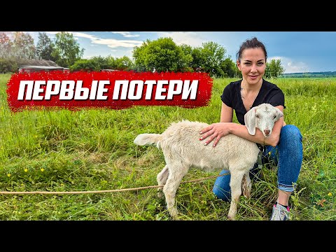 Видео: Всё пошло не по плану! | Орловская обл, Колпнянский р/н д. Удеревка