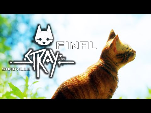 Видео: Солнце Аутсайда (Финал) ▬ Stray Прохождение игры #4