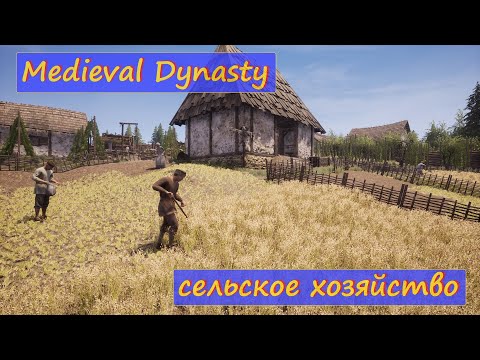 Видео: Medieval Dynasty, Гайд: Сельское хозяйство. Земледелие и садоводство. Управление полями. Навыки.