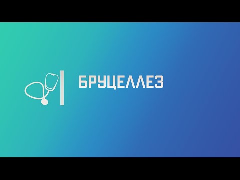 Видео: Бруцеллез. Лекция для студента и практикующего врача.