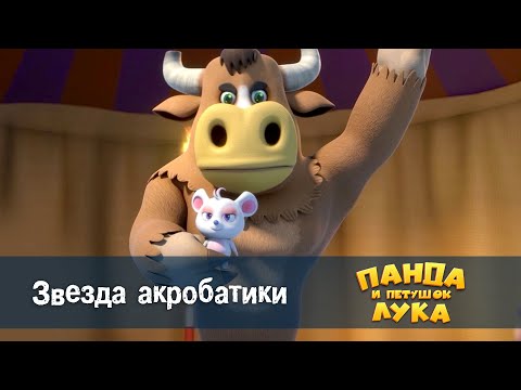 Видео: Панда 🐼 и петушок Лука - Эпизод 23.Звезда акробатики - Премьера мультфильма