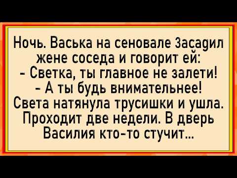 Видео: Как Светка от соседа залетела! Сборник свежих анекдотов! Юмор!