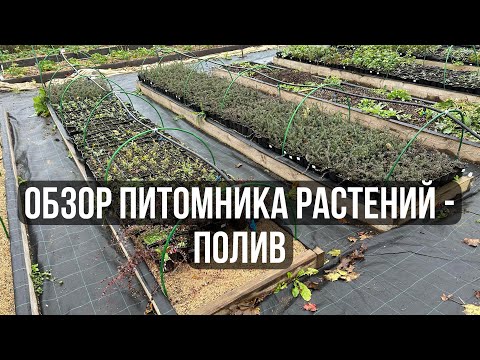 Видео: 6. Обзор питомника растений // Полив