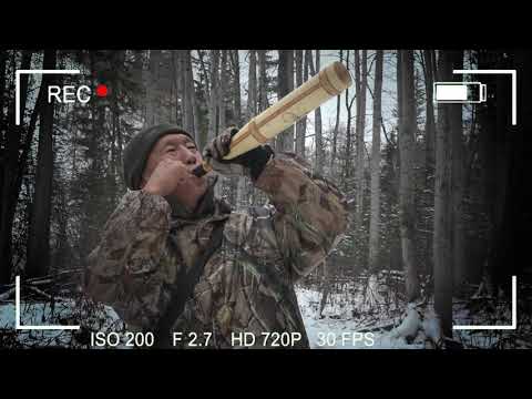 Видео: За изюбрем на реву