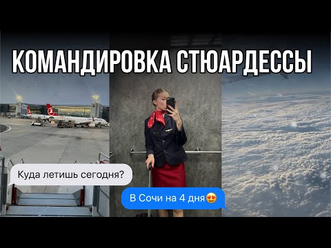 Видео: Командировка стюардессы✈️ летим в Сочи на 4 дня