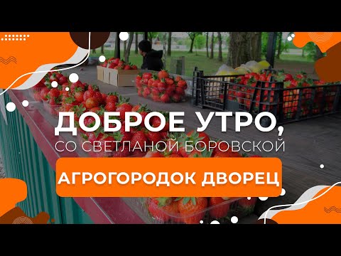 Видео: Лунинецкий район | Агрогородок Дворец | "Доброе утро, Беларусь! со Светланой Боровской"