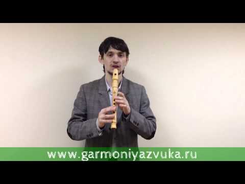 Видео: Первый ВИДЕО УРОК по игре на флейте Свирель в Ля
