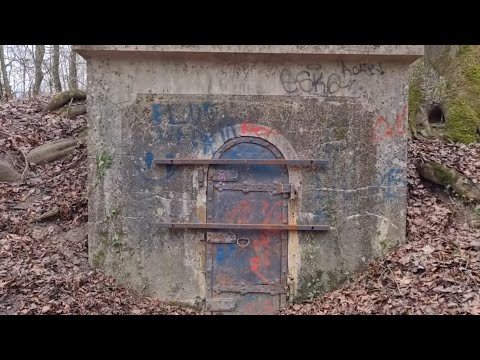 Видео: Скрытый объект построенный в лесу