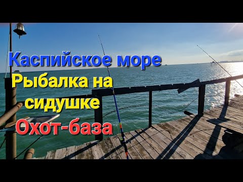 Видео: Рыбалка в Каспийском море