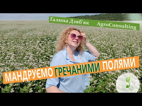 Видео: Обстеження посівів гречки з різними технологіями вирощування