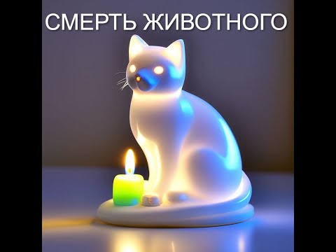 Видео: ДУШИ ЖИВОТНЫХ ПОСЛЕ СМЕРТИ